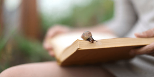 Productos en tendencia: Baba de Caracol