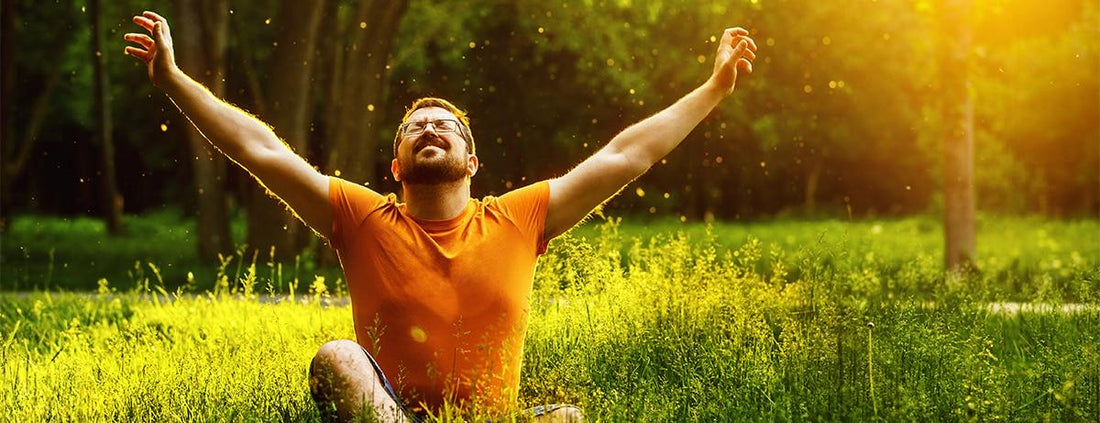 El Papel de los Probióticos en una Digestión Saludable y Refuerzo del Sistema Inmunológico: Nuevas Investigaciones y Consejos Útiles