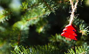 Cómo tener una Navidad más ecológica⁣