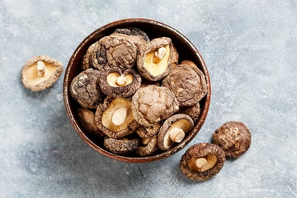 Guía de setas shiitake