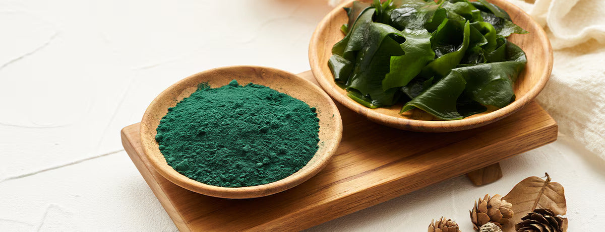 Algas marinas: superfood rico en minerales